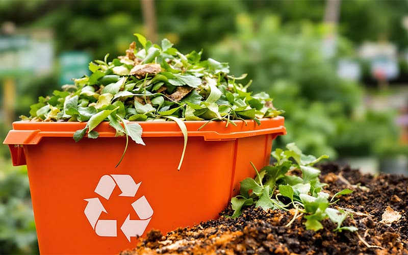 Waste-to-Energy